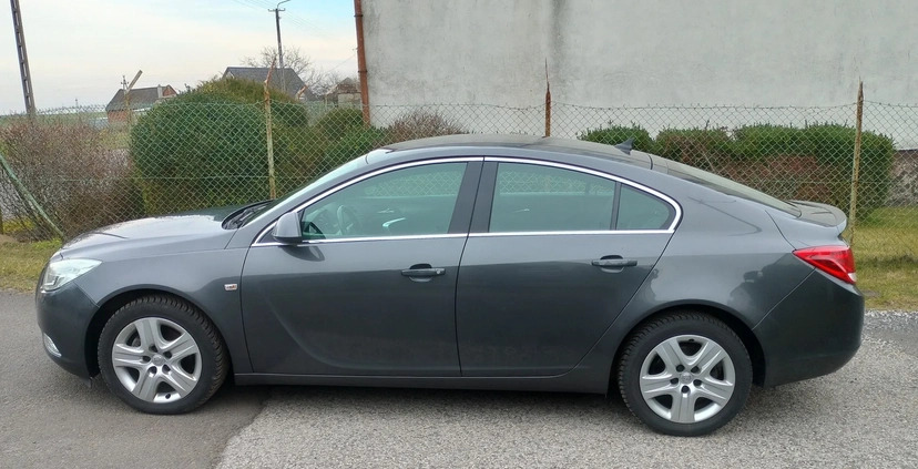 Opel Insignia cena 22500 przebieg: 199594, rok produkcji 2010 z Strzelno małe 37